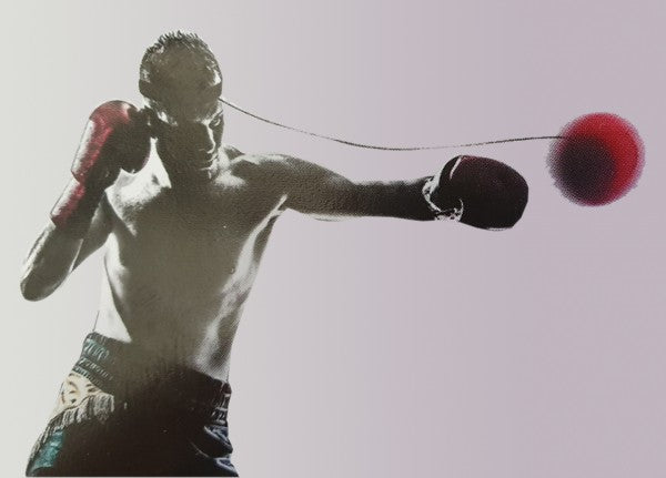 Reaction Ball Boxing