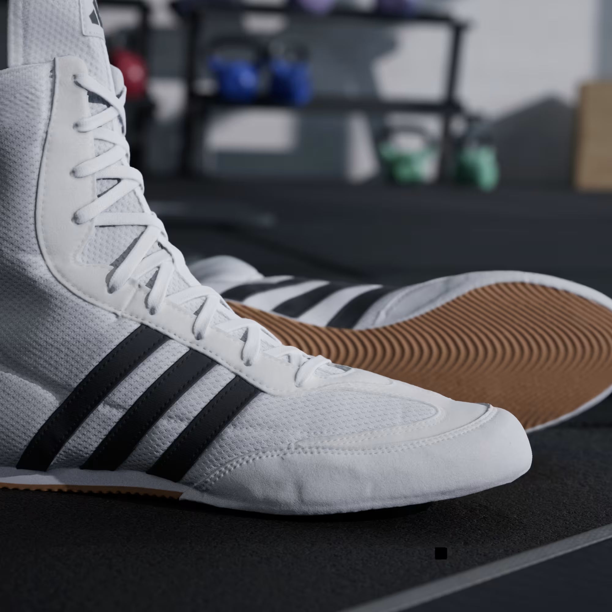 Adidas Box Hog 2 White Boxing Shoes