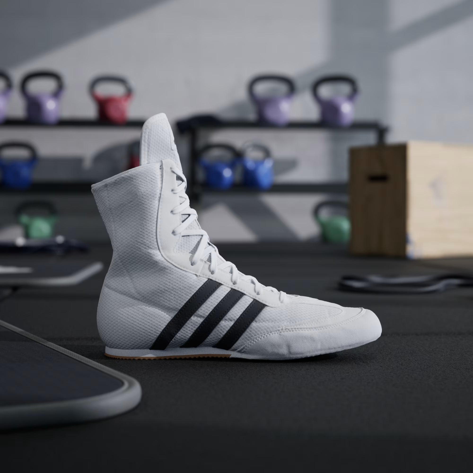 Adidas Box Hog 2 White Boxing Shoes