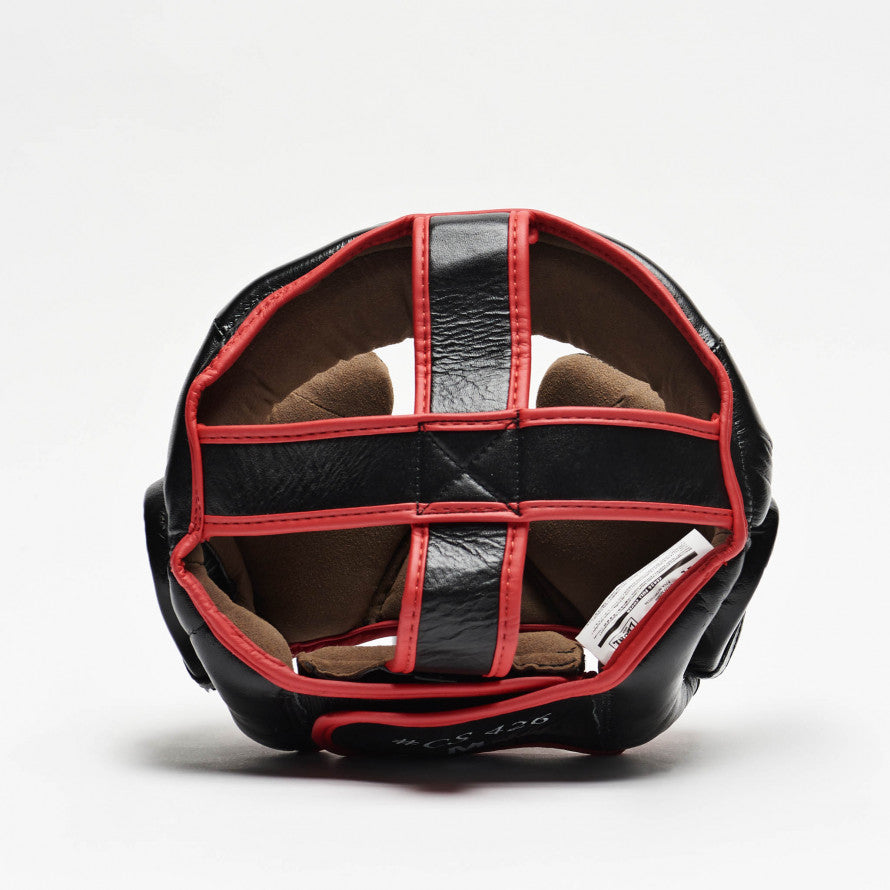 Cheekpad Helmet and Lion Armor