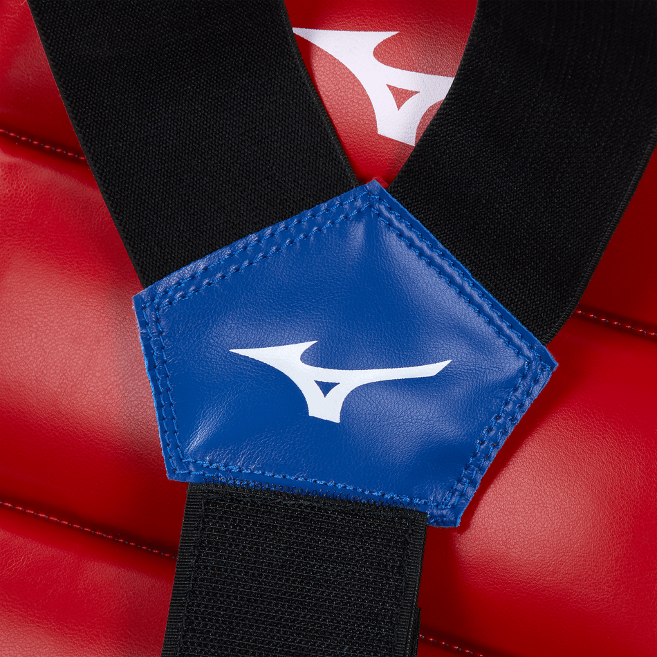 Detaliu al sistemului de șireturi și bretele din spate ale corsetului Mizuno.