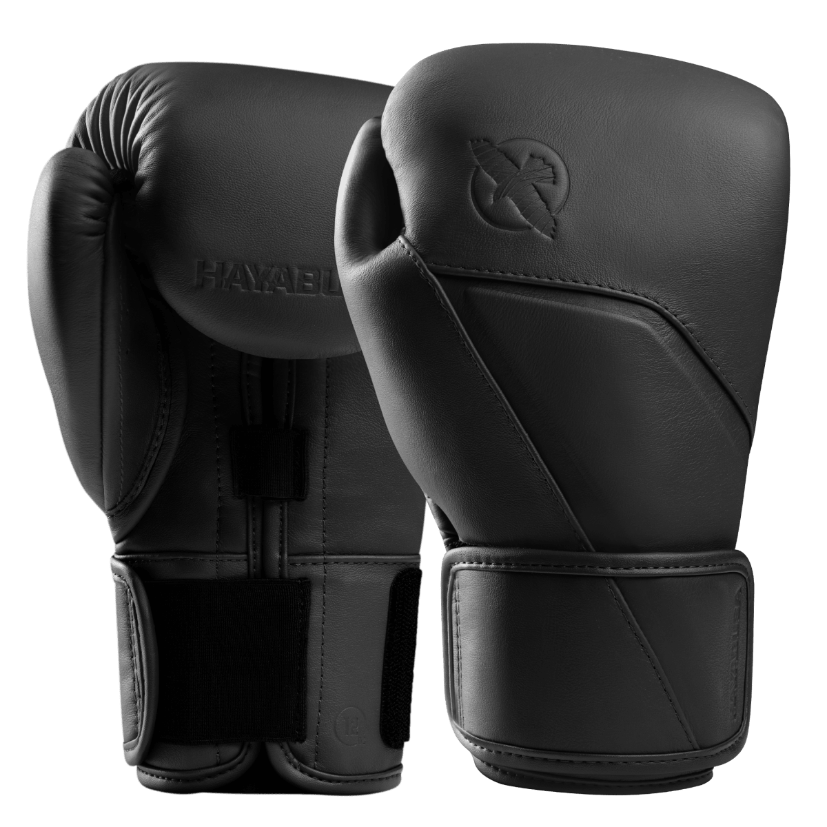 Paire de gants de boxe Hayabusa E1 en cuir onyx noir, design ergonomique pour débutants et intermédiaires