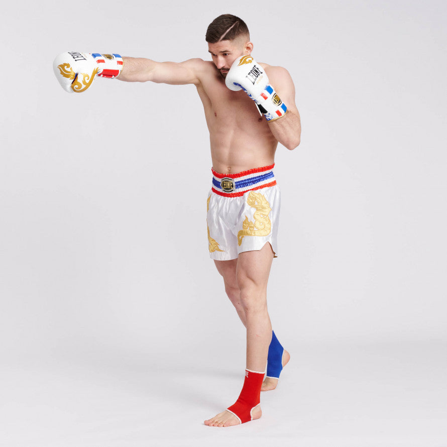 Leone Muay Thai Gloves