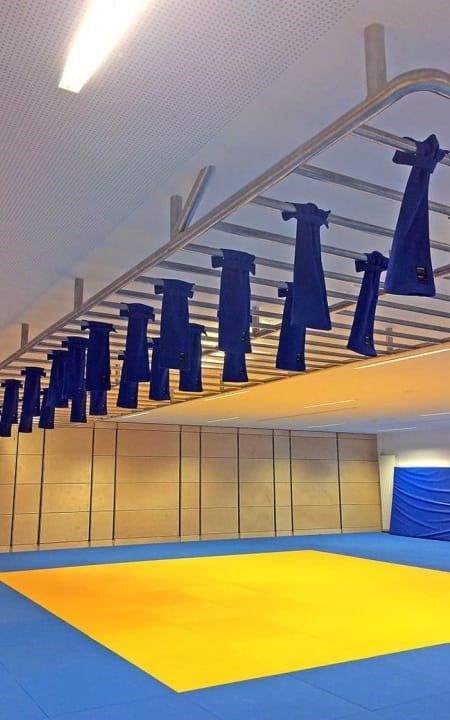 Ett par Judo Grip Trainers med Moskito-ögla hängande från en pull-up bar