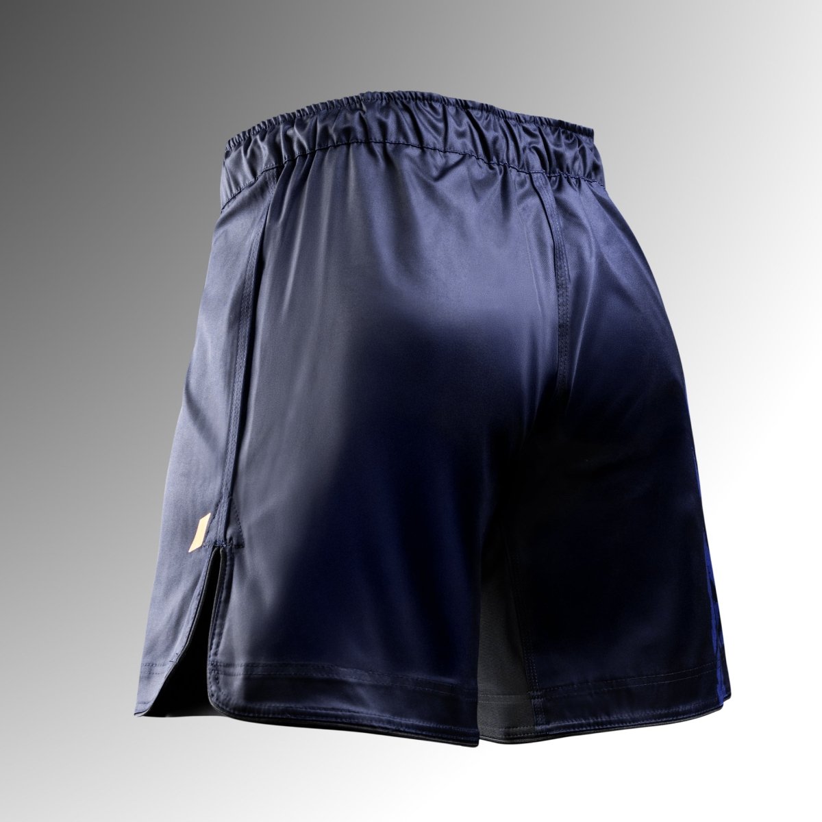 Bakifrån av de blå Hayabusa Apex MMA-shortsen, invändiga stretchpaneler för maximal komfort