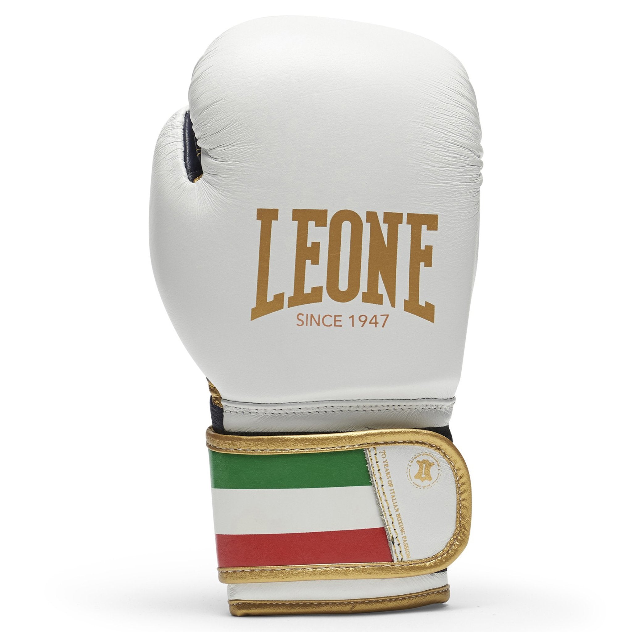 Leone Italy Boxing Gloves