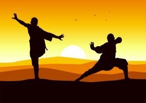 ARMI KUNG FU