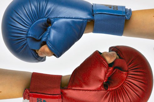 GUANTI DA KARATE & TAEKWONDO UOMO - Fight Club Store