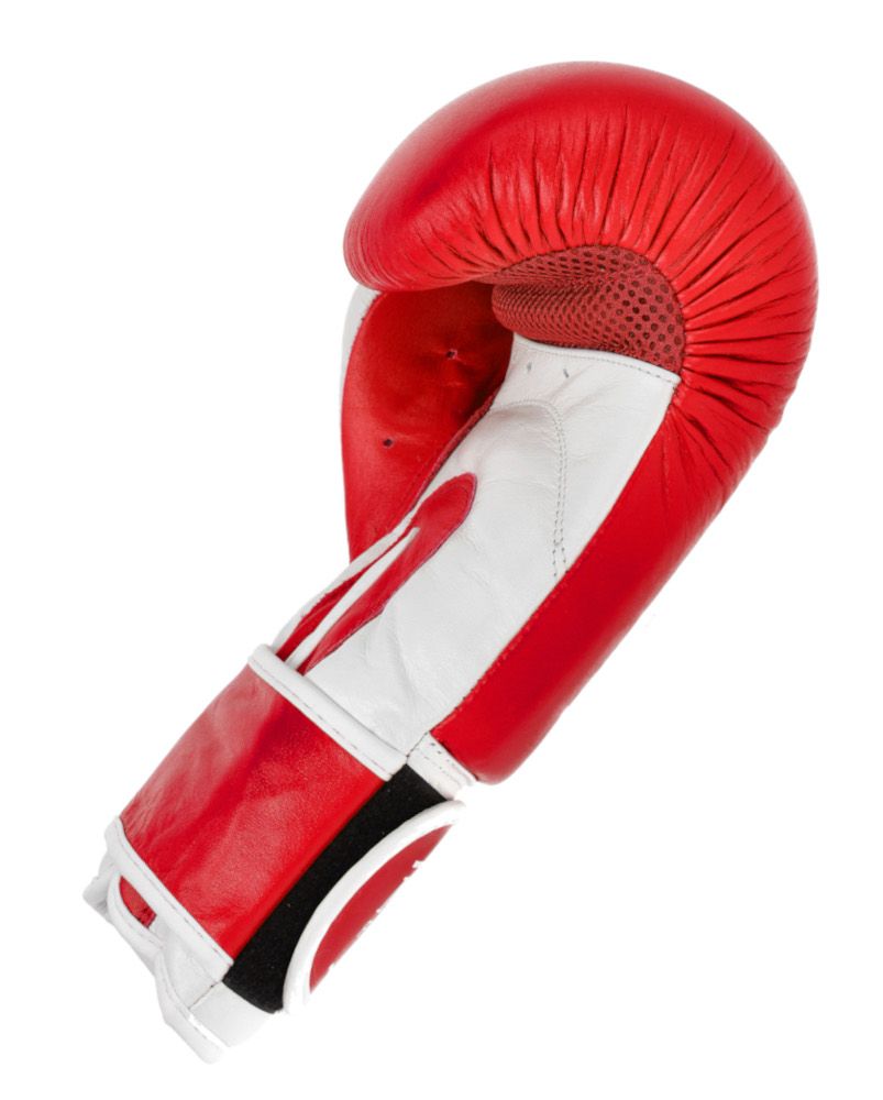 WAKO Leather Kick Boxing Gloves 