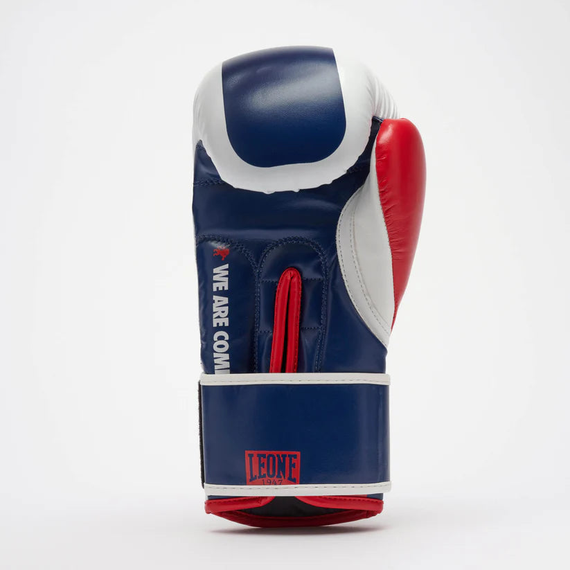 Leone Color Block Boxing Gloves 