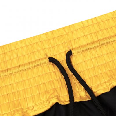 Adidas BX3 Pro Boxing Shorts