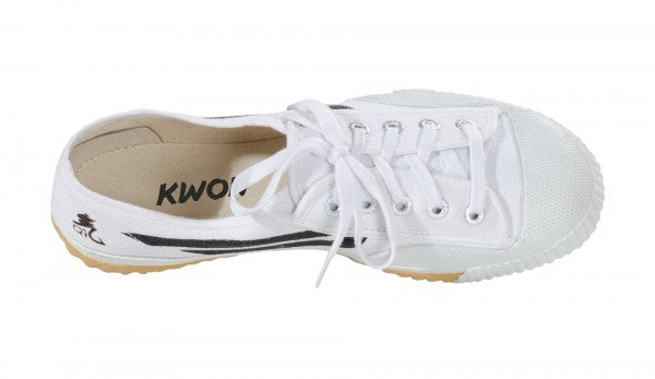 Kung Fu Wushu Canvas Shoes 