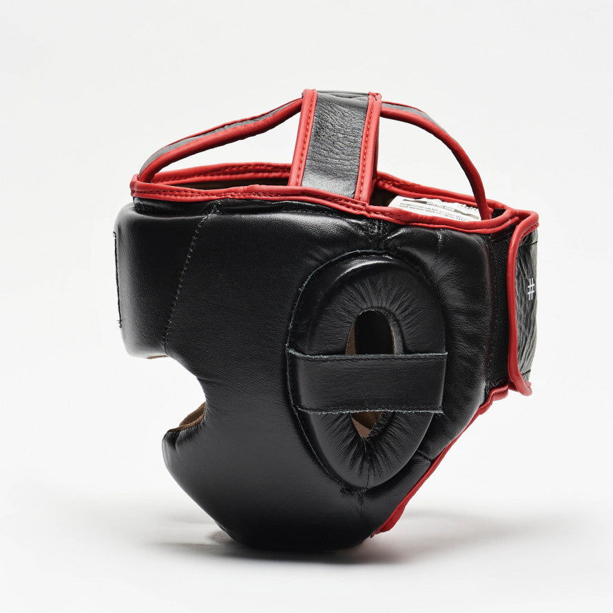 Cheekpad Helmet and Lion Armor