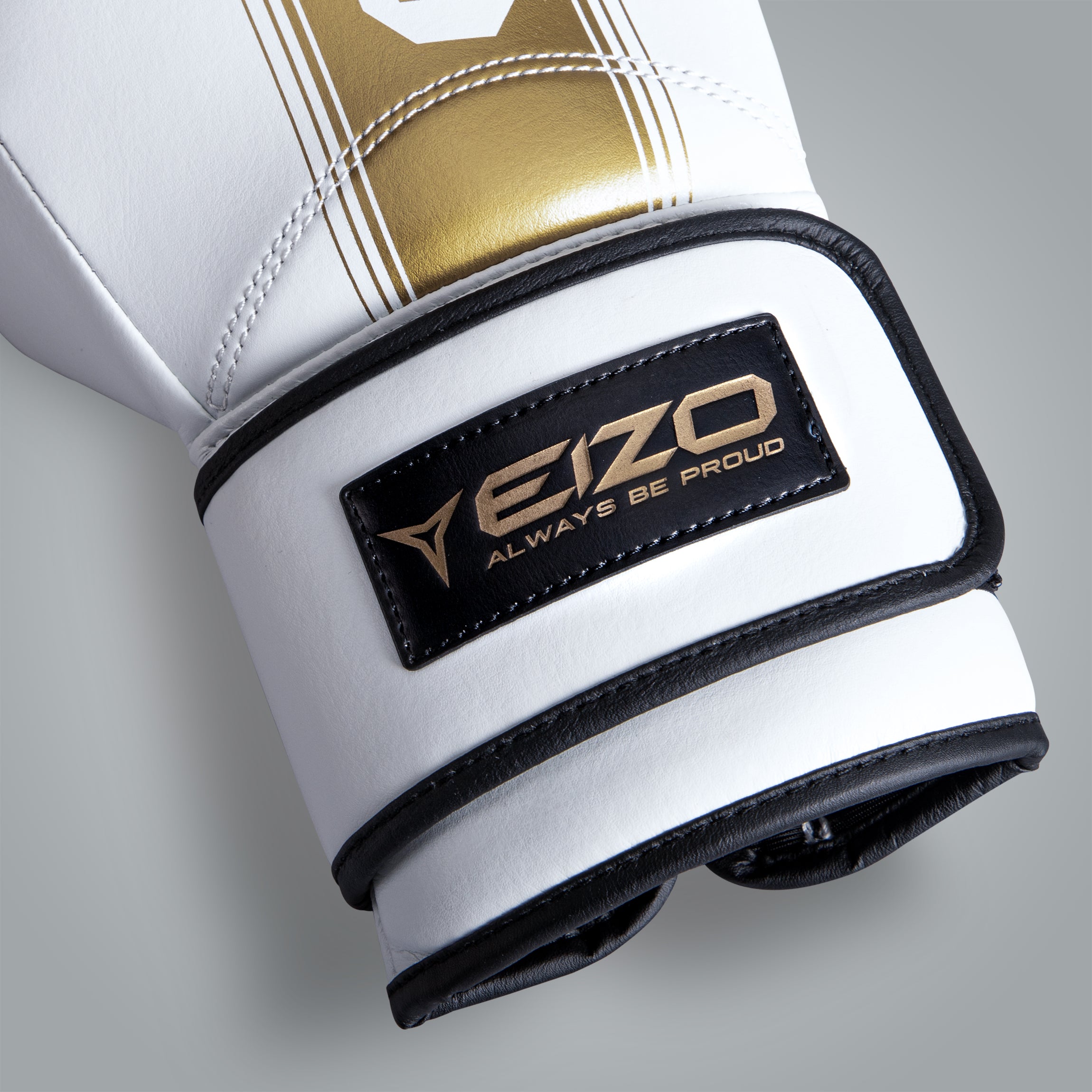 Eizo Supreme Pro Boxing Gloves with Velcro