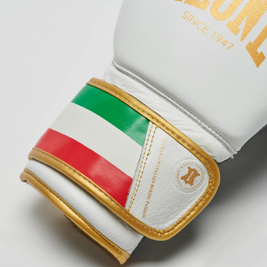 Leone Italy Boxing Gloves