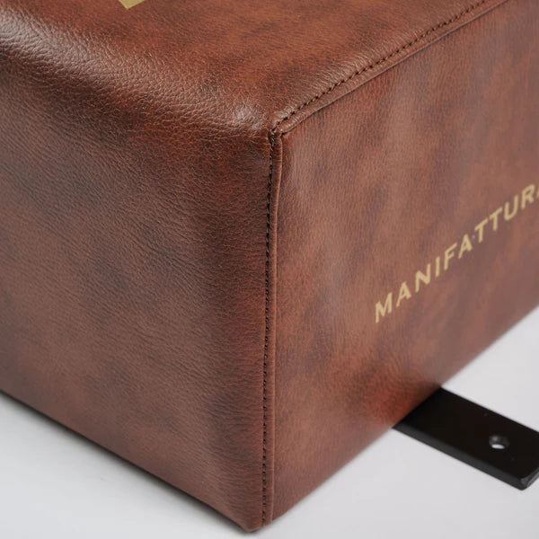 Vintage Lion Athena Wall Silhouette