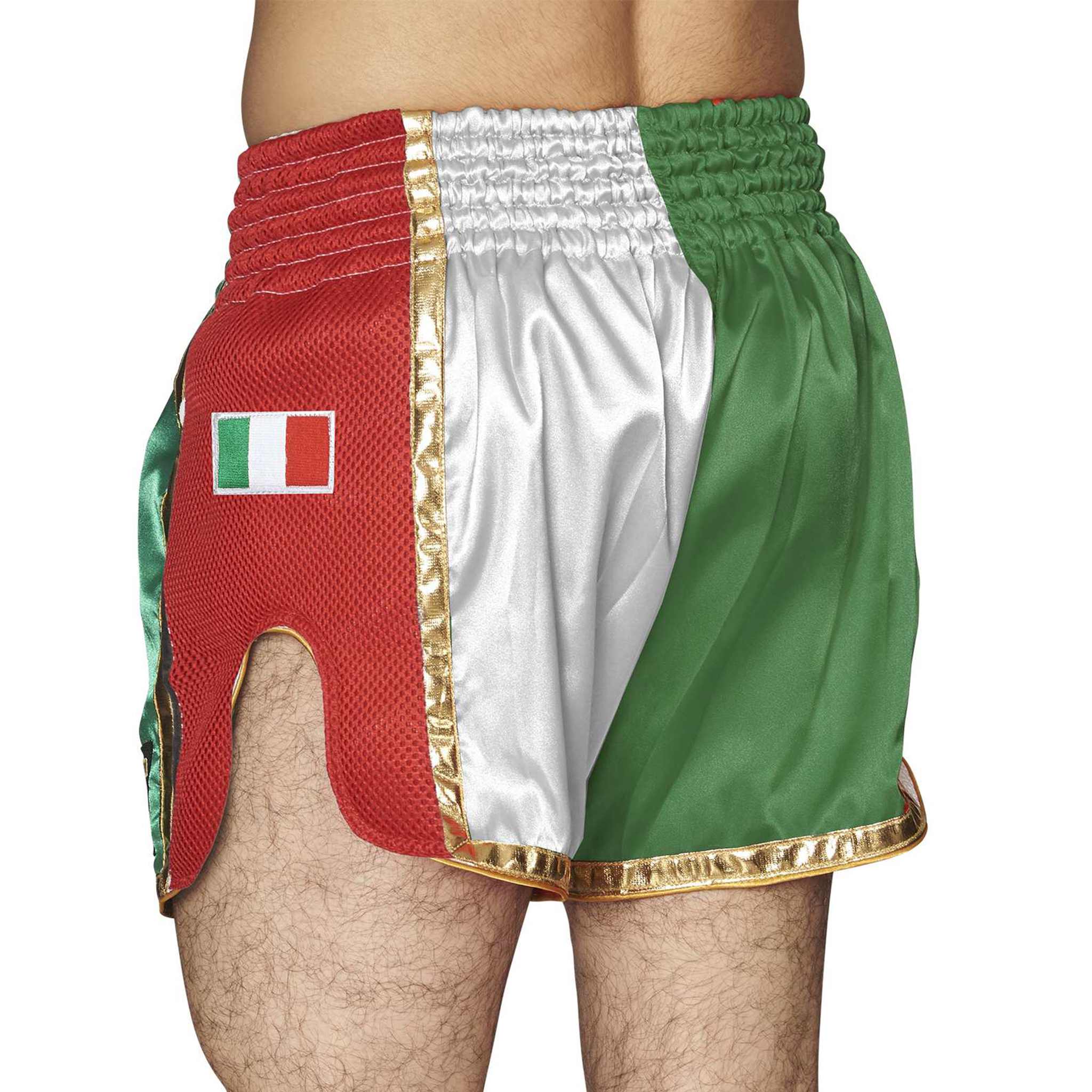 Siam Lion Muay Thai Shorts