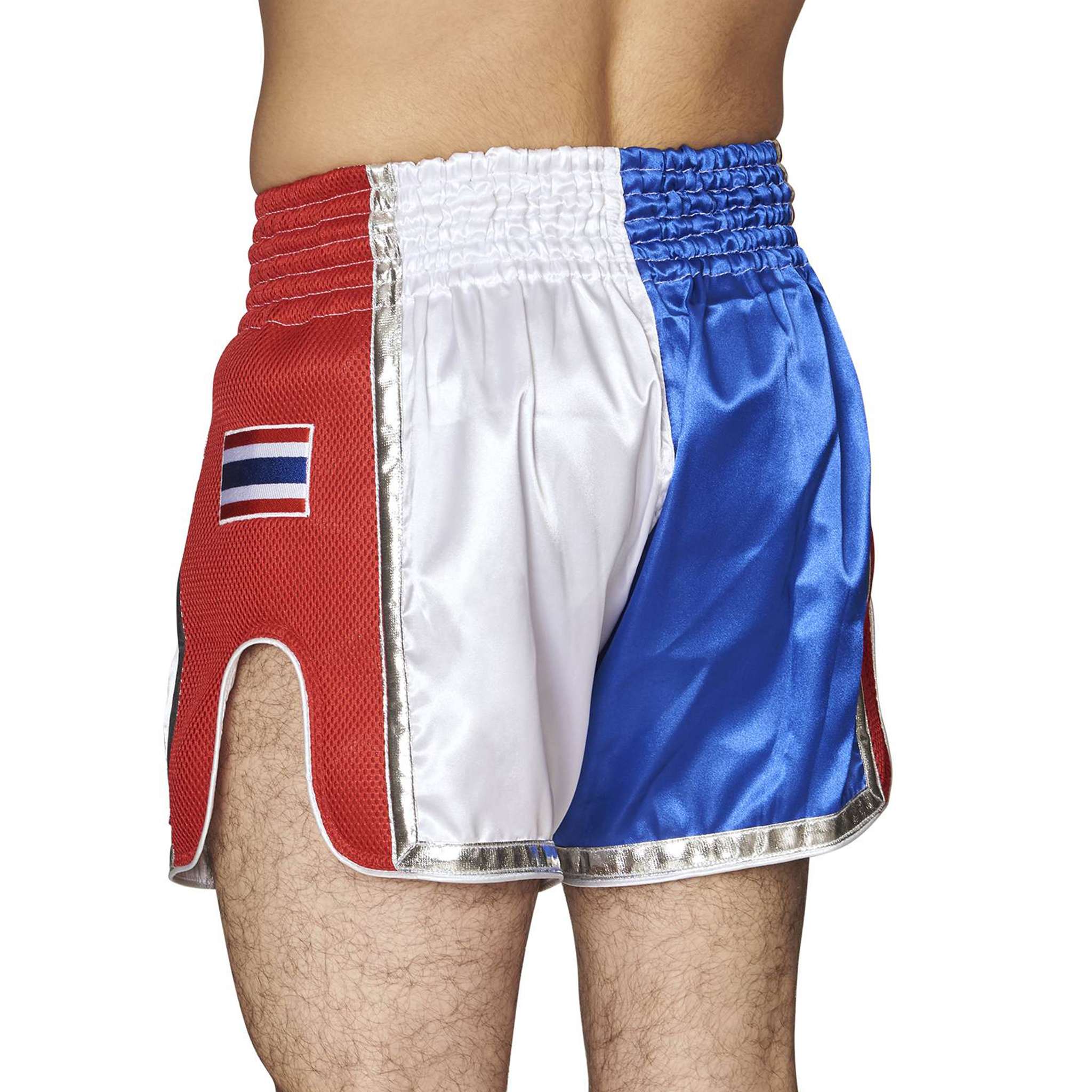Siam Lion Muay Thai Shorts
