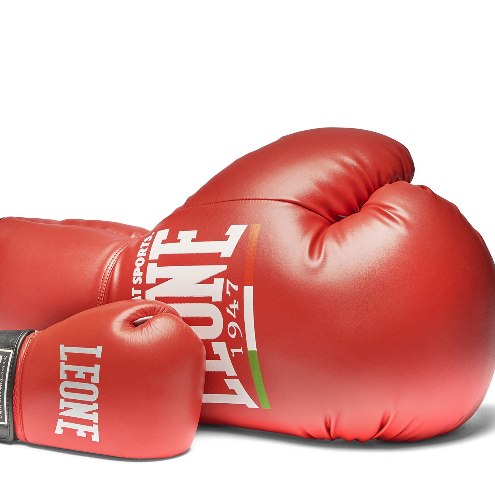 Maxi Leone Boxing Glove